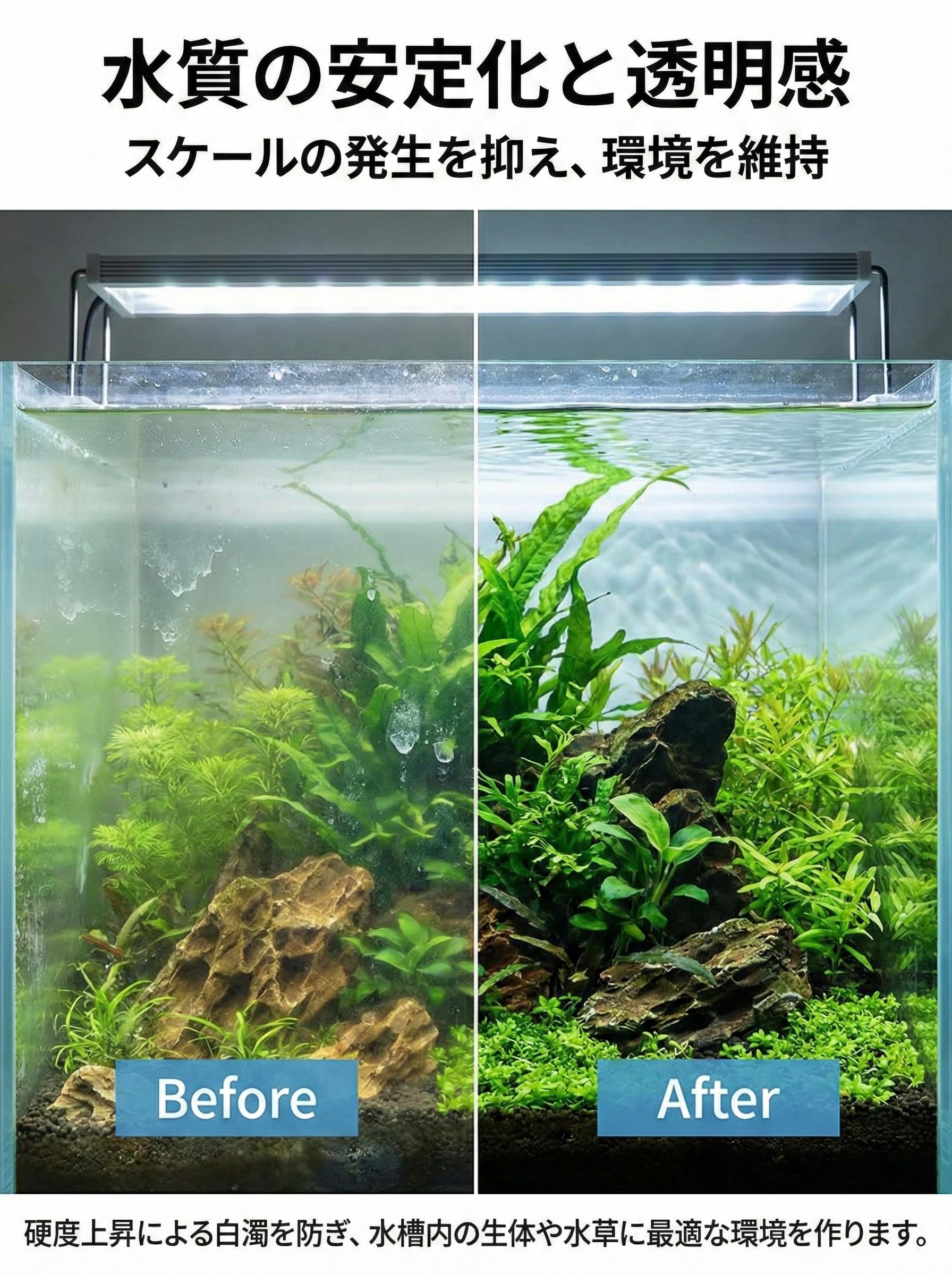 Amazon.co.jp: アクアリウム 水槽 観賞魚専用 浄水器 フィルター 交換
